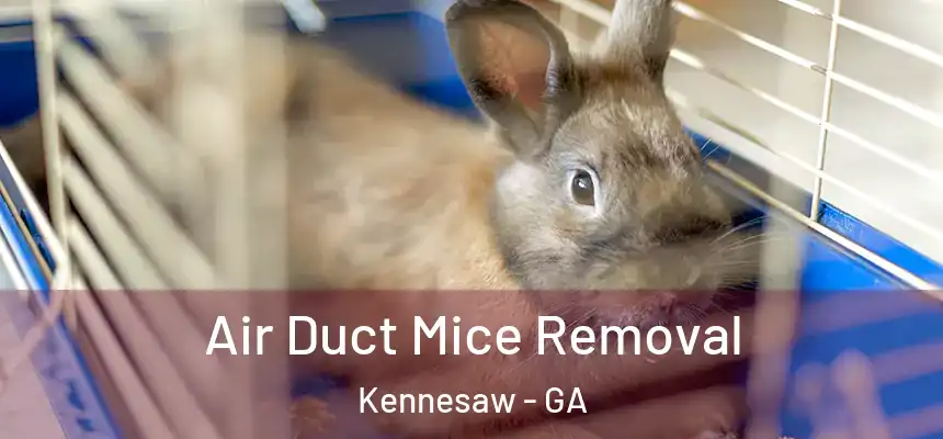Air Duct Mice Removal Kennesaw - GA