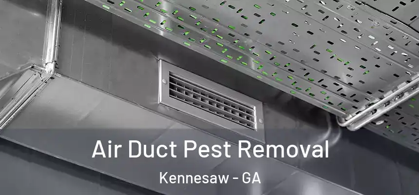 Air Duct Pest Removal Kennesaw - GA
