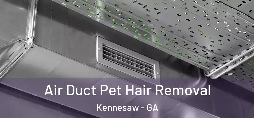 Air Duct Pet Hair Removal Kennesaw - GA