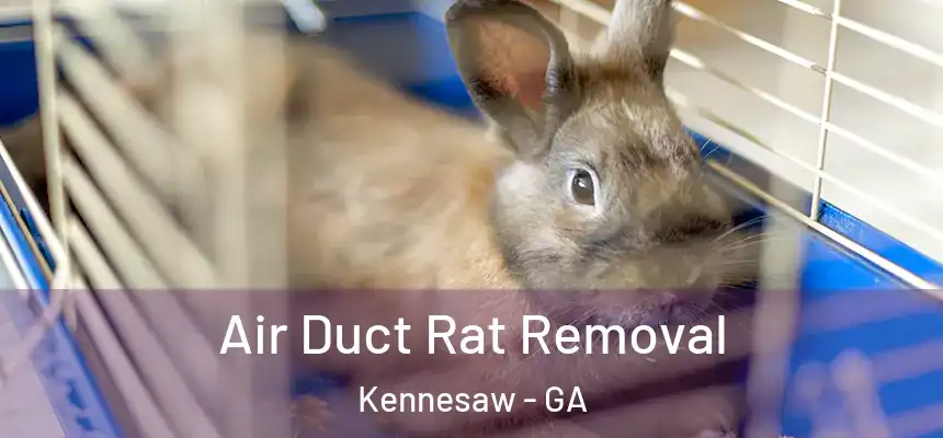Air Duct Rat Removal Kennesaw - GA