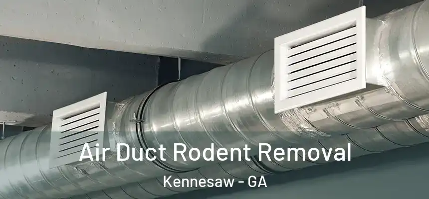 Air Duct Rodent Removal Kennesaw - GA