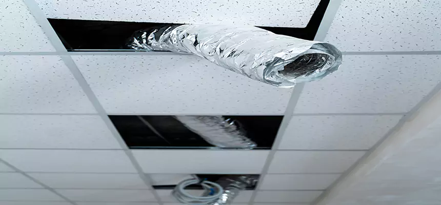 Our Air Duct Pet Hair Removal Services in Kennesaw, GA