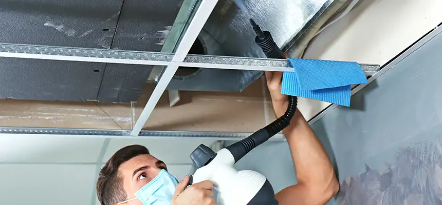 Our Air Duct Rodent Removal Services in Kennesaw, GA