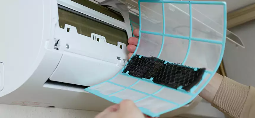 Gentle Ductwork Odor-Control Pet Dander Duct Cleaning in Kennesaw, GA