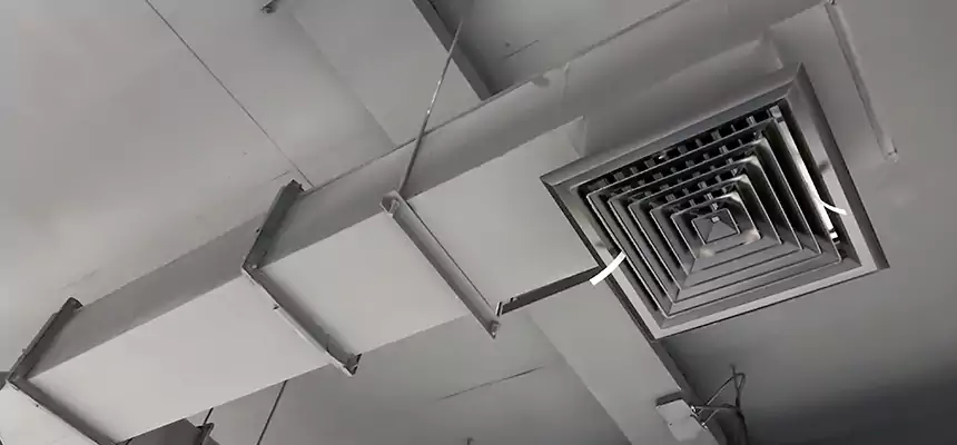 Our Rodent Droppings In Vents Services in Kennesaw, GA