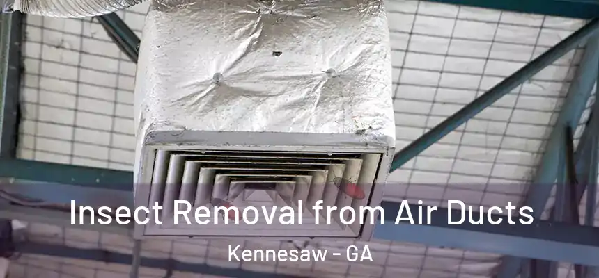 Insect Removal from Air Ducts Kennesaw - GA