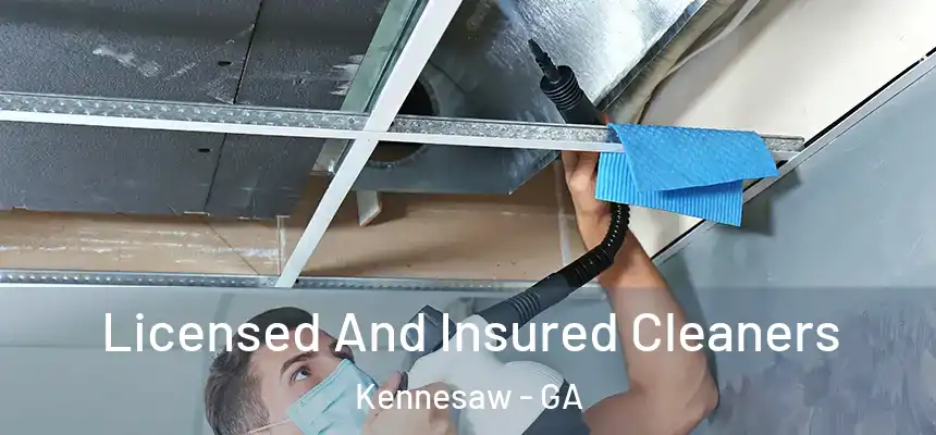 Licensed And Insured Cleaners Kennesaw - GA