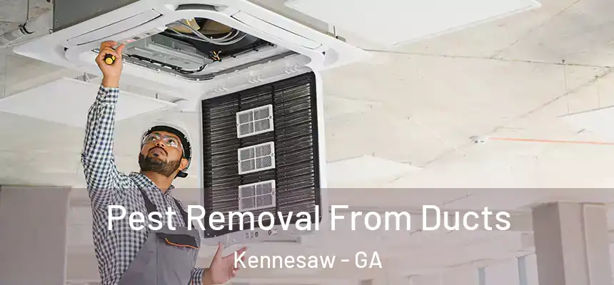 Pest Removal From Ducts Kennesaw - GA
