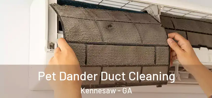 Pet Dander Duct Cleaning Kennesaw - GA