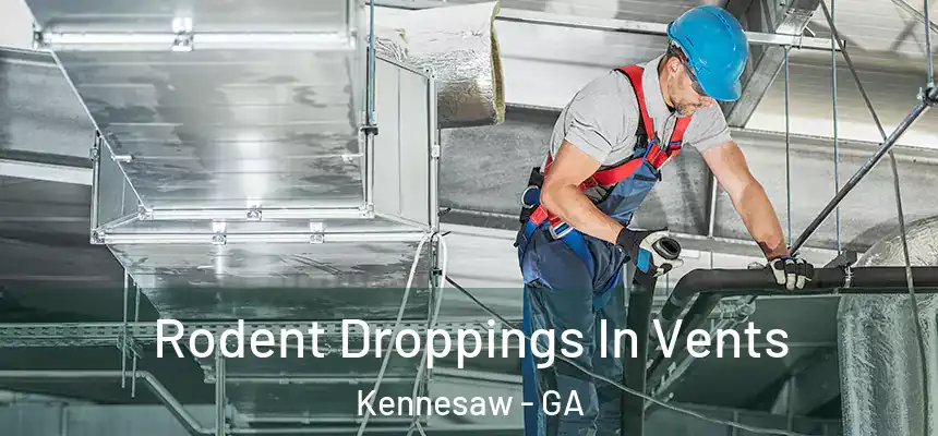  Rodent Droppings In Vents Kennesaw - GA