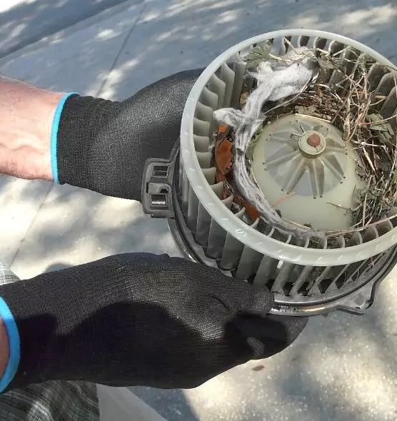 About Air Duct Rat Removal in Kennesaw, GA