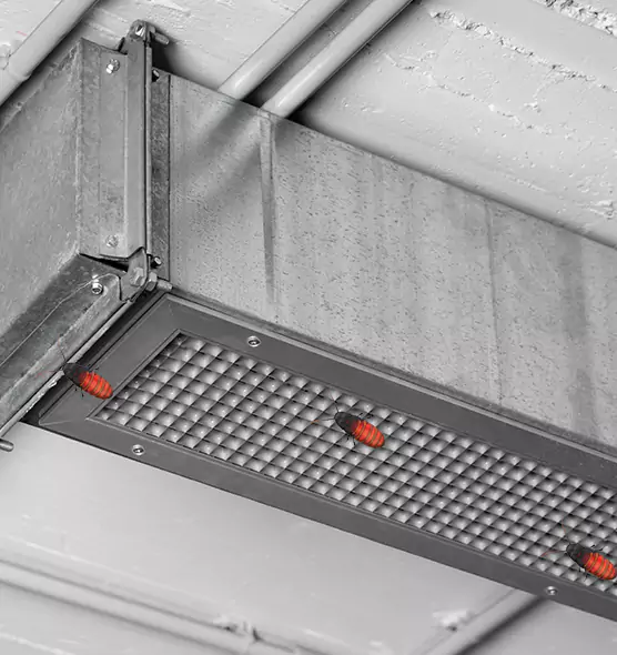 Affordable Insect Removal from Air Ducts in Kennesaw, GA