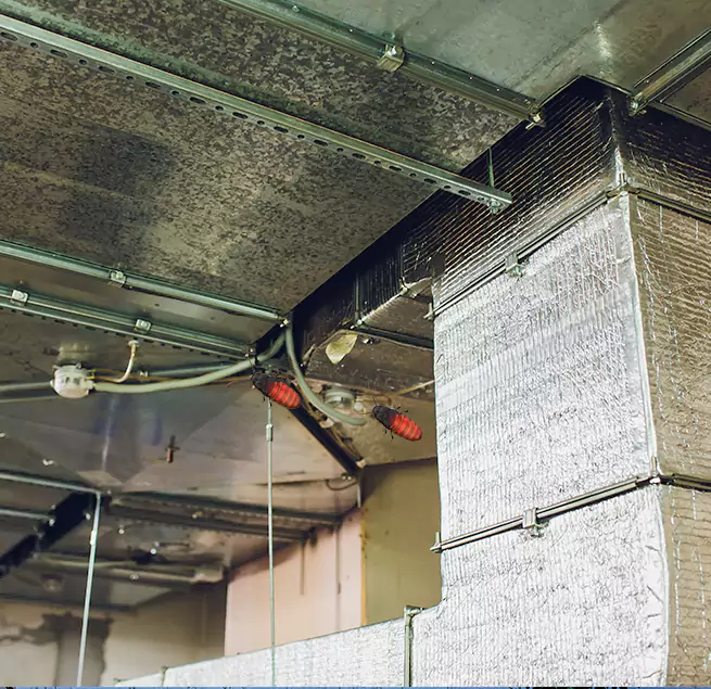 Why Homeowners & Businesses Trust Us in Kennesaw, GA?