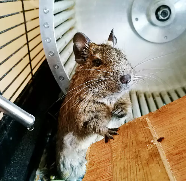 Why Homeowners & Businesses Trust Us Kennesaw, GA