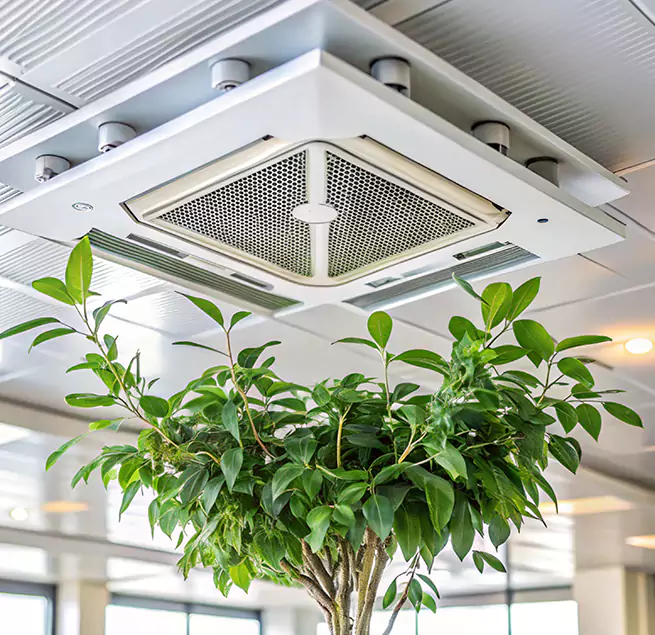 Why Homeowners & Businesses Trust Us in Kennesaw, GA?